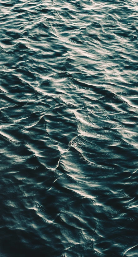 Marine
