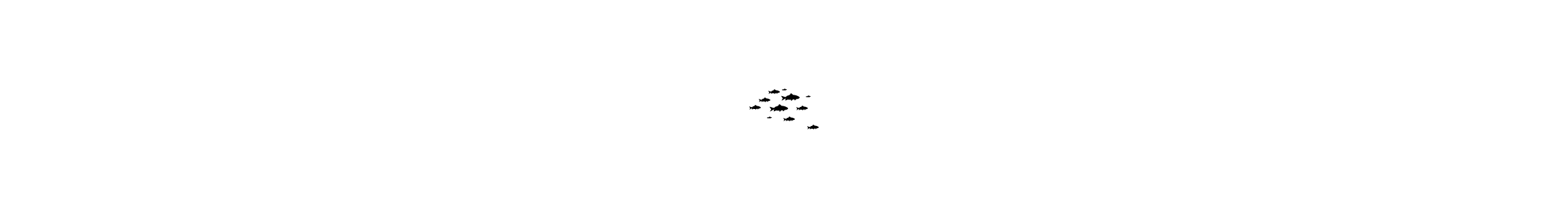 Sea Fish Shoal
